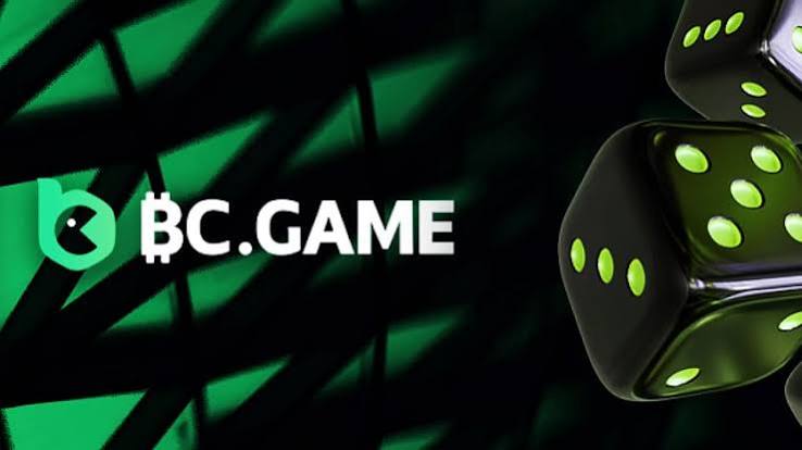 Understanding the BC.Game Login Process A Step-by-Step Guide 849335192